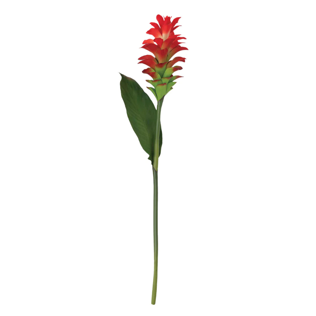 Red Tropical Flower Stem