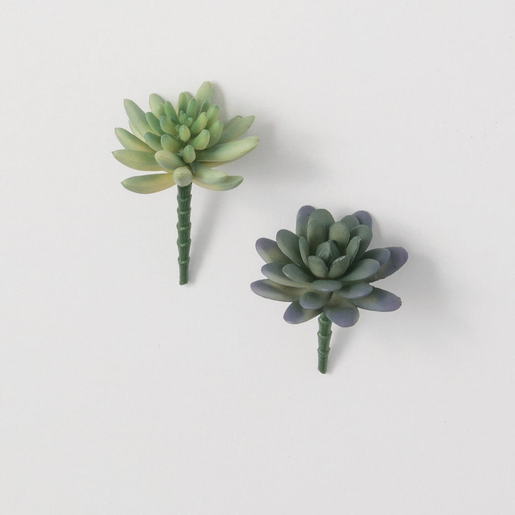 Succulent Pick Bundle | Set of 2