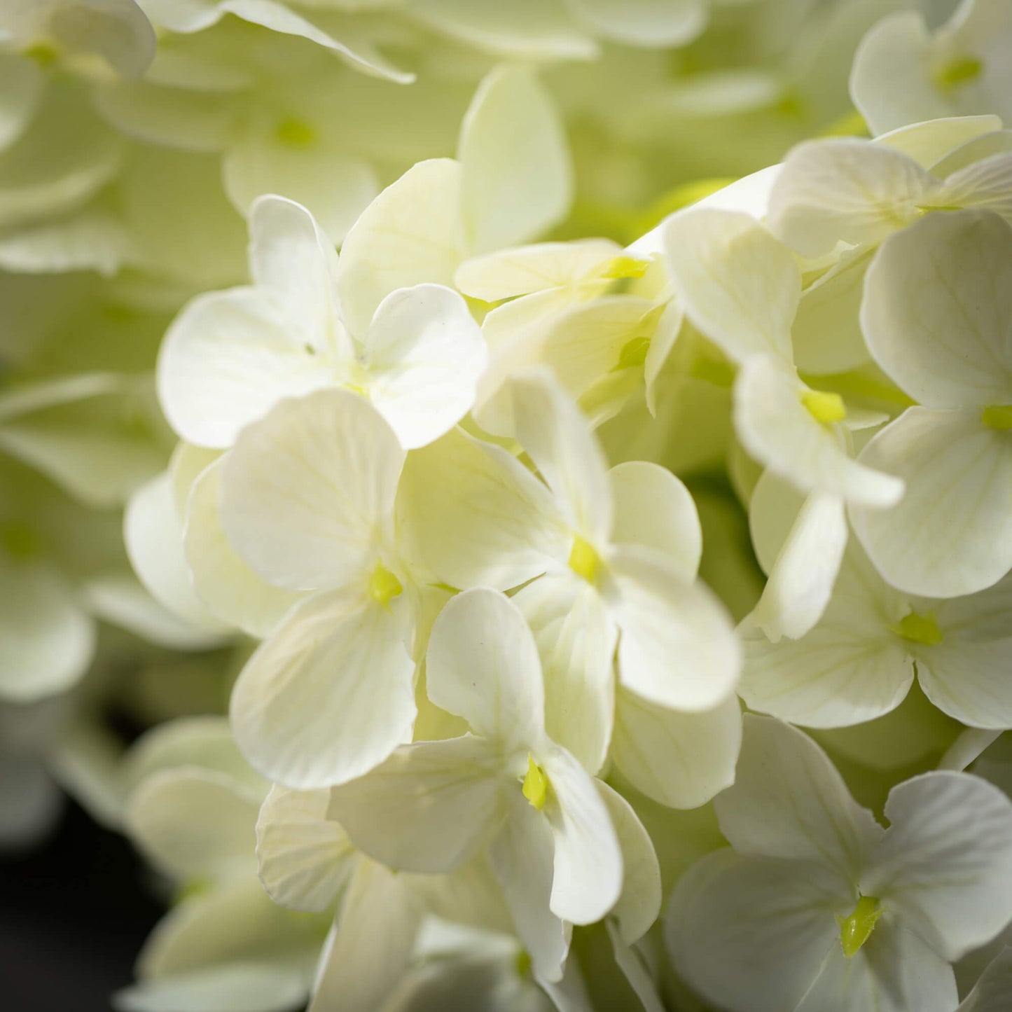 HYDRANGEA SPRAY Ivory