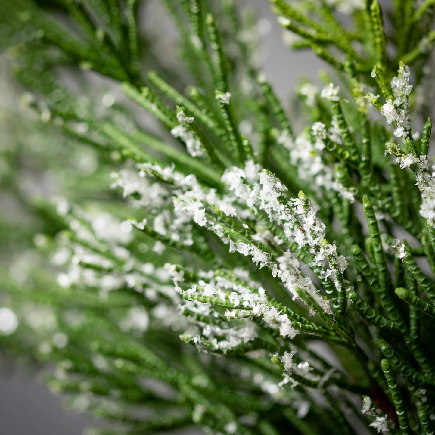 FROSTED GREEN CEDAR GARLAND