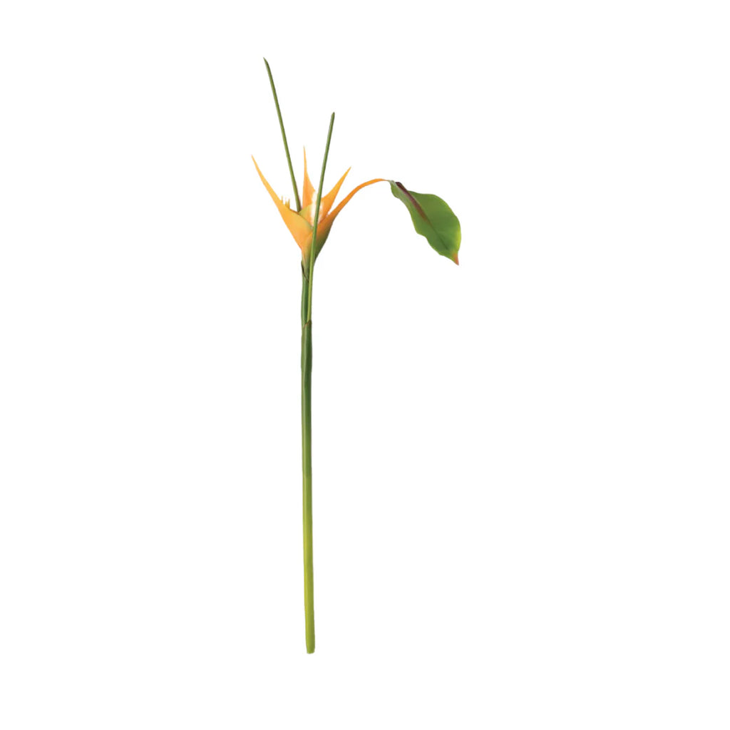 Yellow Bird of Paradise Tropical Floral Stem