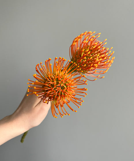 Artificial Fall Chrysanthemum Flowers 22" Faux Pincushion